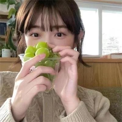 老虎和兔子第二季